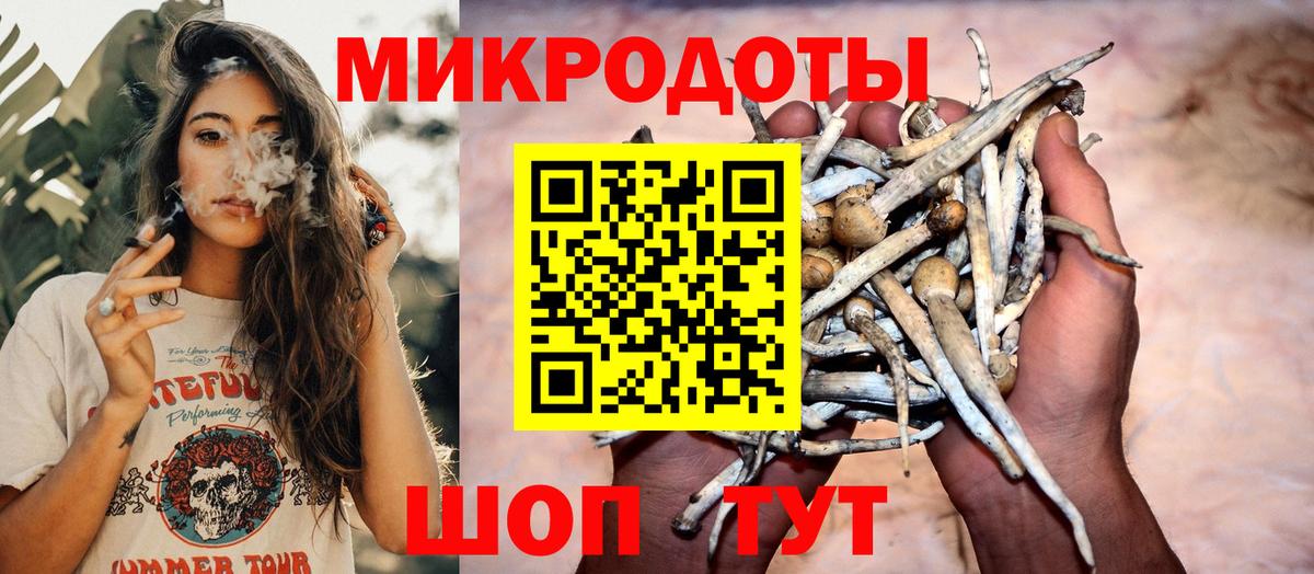 Галлюциногенные грибы Psilocybine cubensis Рославль