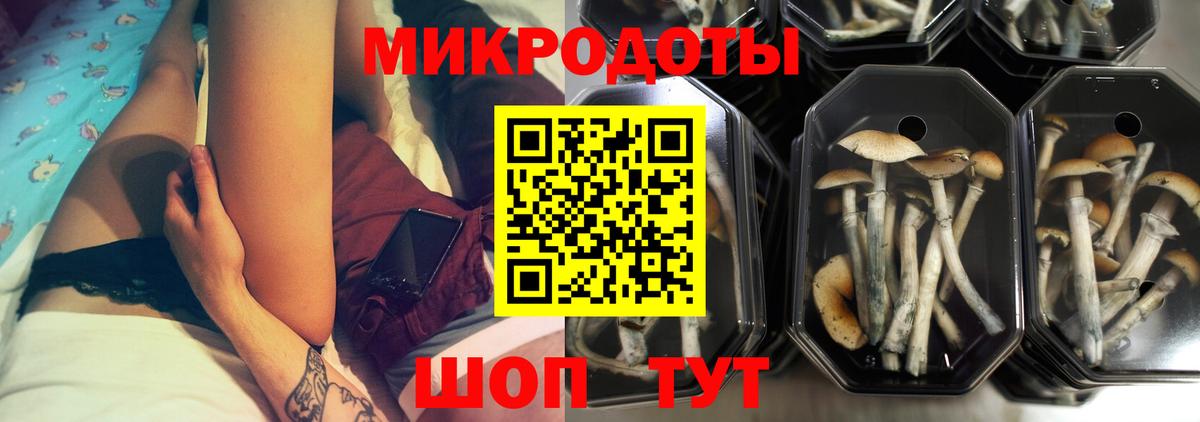Рославль  Галлюциногенные грибы мицелий  Вход с VPN 